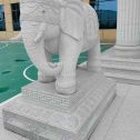 马鞍山 白麻花岗岩动物异形石雕-大象